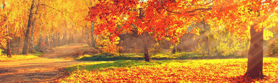 Autumn01.jpg