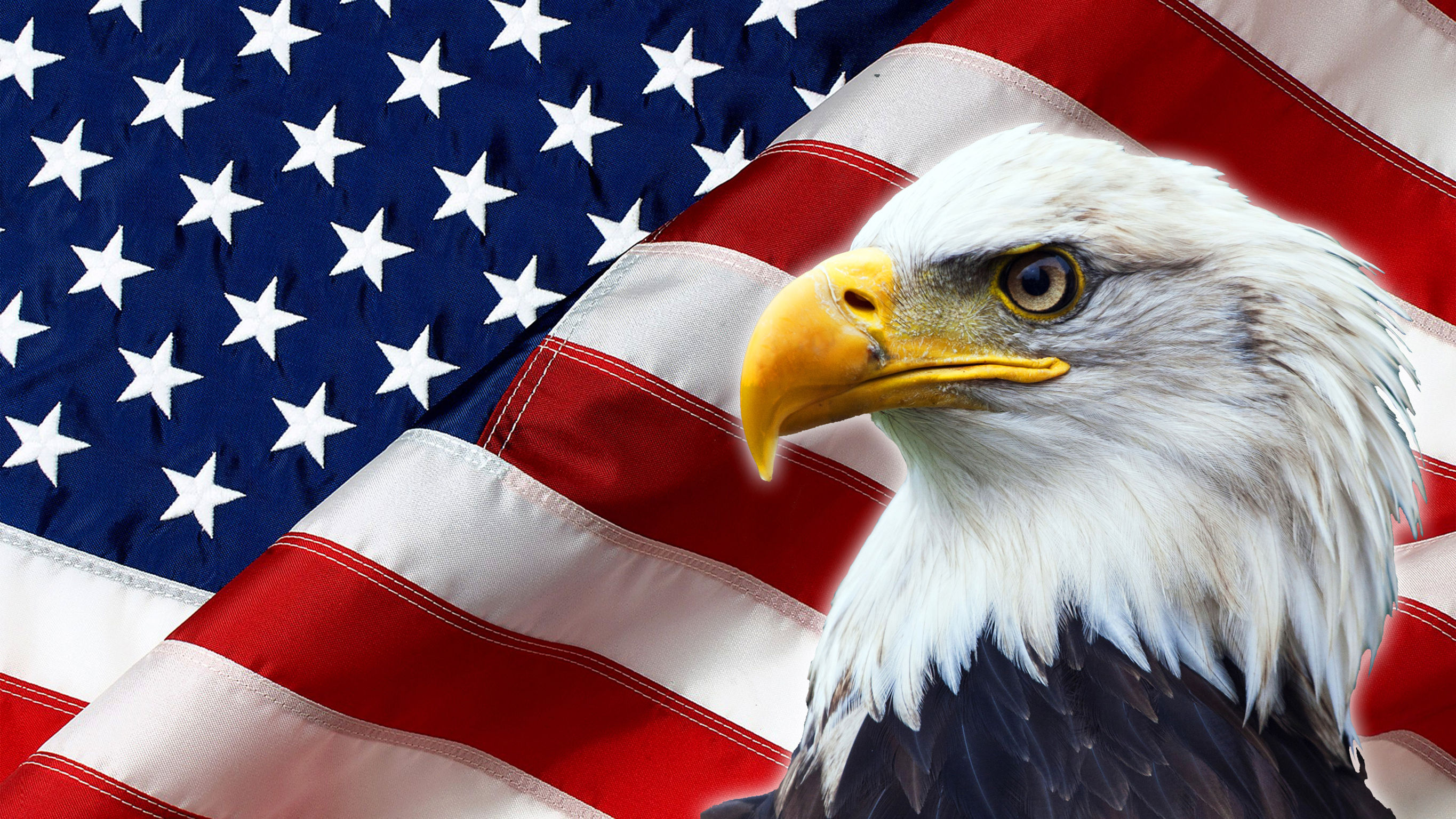 United States Bald Eagle With Flag Wings Patriotic Art On